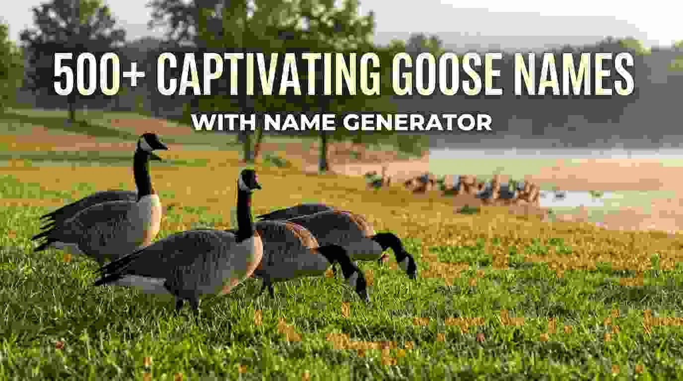 Captivating Goose Names With Name Generator