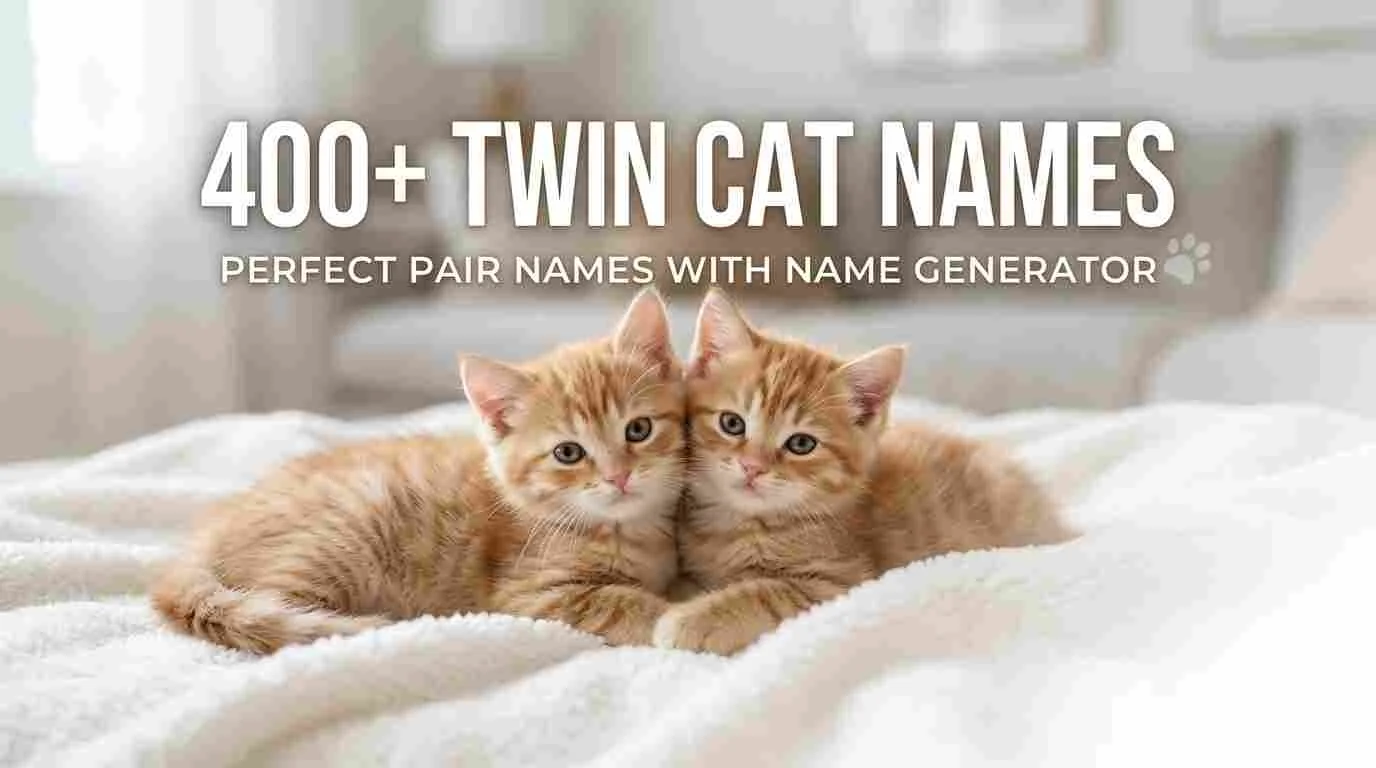 Twin Cat Names Perfect Pair Names With Name Generator